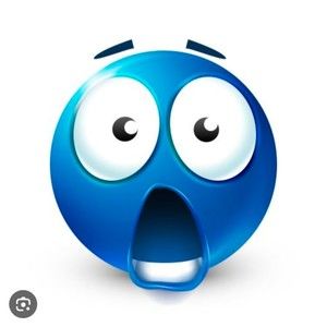 Meet your Posher, Leika